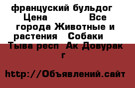 француский бульдог › Цена ­ 40 000 - Все города Животные и растения » Собаки   . Тыва респ.,Ак-Довурак г.